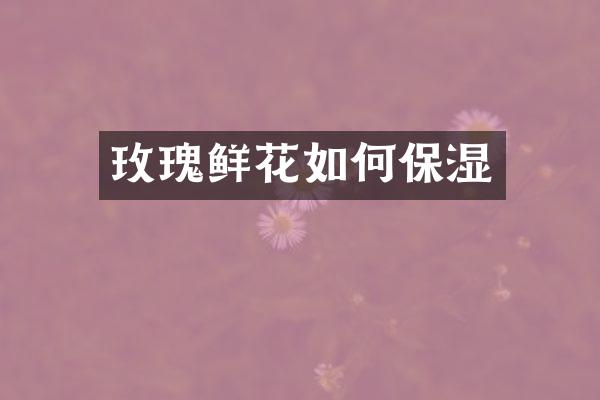 玫瑰鲜花如何保湿