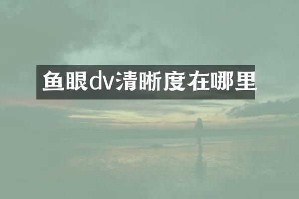 鱼眼dv清晰度在哪里