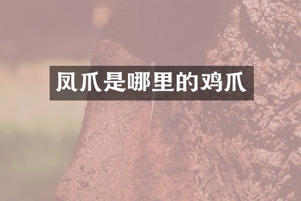 凤爪是哪里的鸡爪