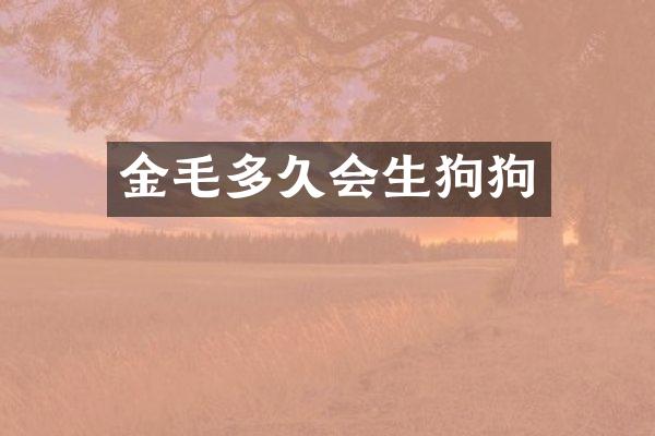 金毛多久会生狗狗