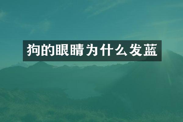狗的眼睛为什么发蓝