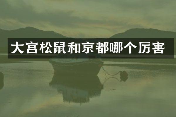 大宫松鼠和京都哪个厉害