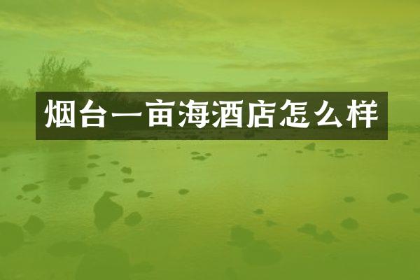 烟台一亩海酒店怎么样