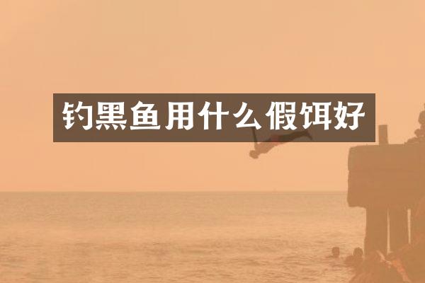 钓黑鱼用什么假饵好