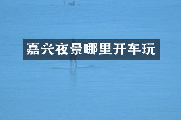 嘉兴夜景哪里开车玩