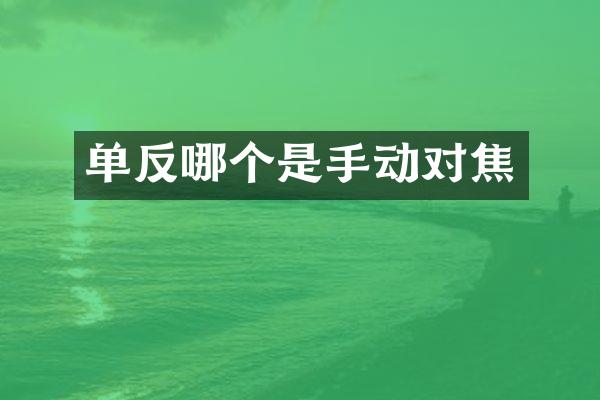 单反哪个是手动对焦