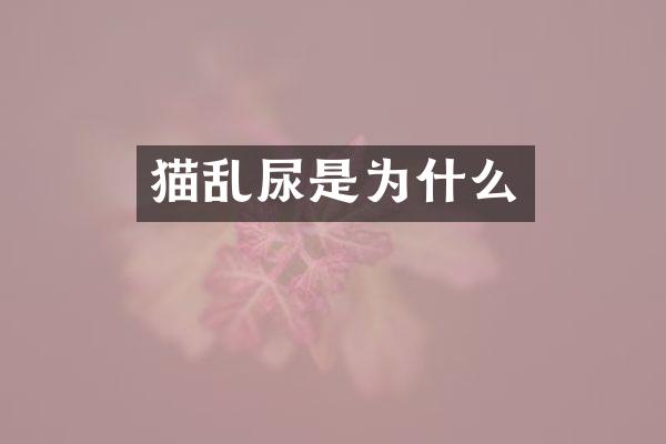 猫乱尿是为什么