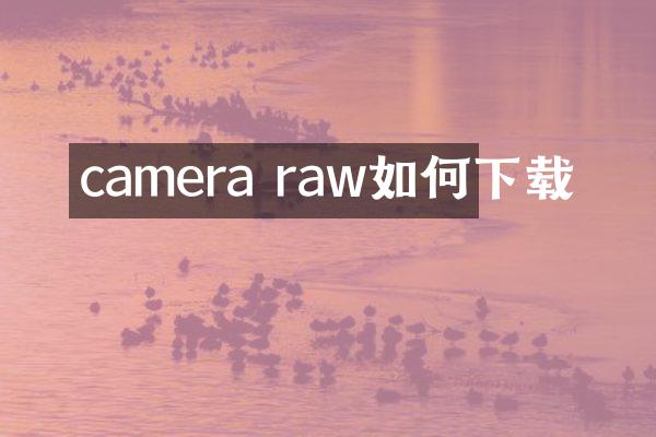 camera raw如何下载
