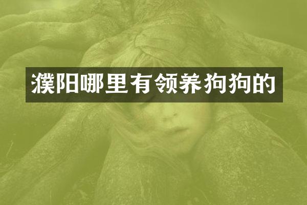 濮阳哪里有领狗的