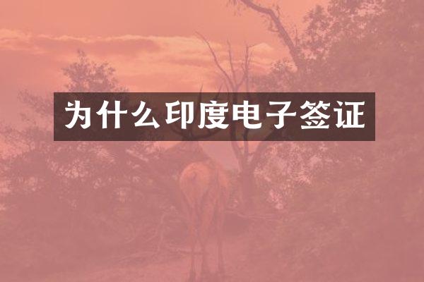 为什么印度电子签证