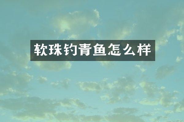 软珠钓青鱼怎么样