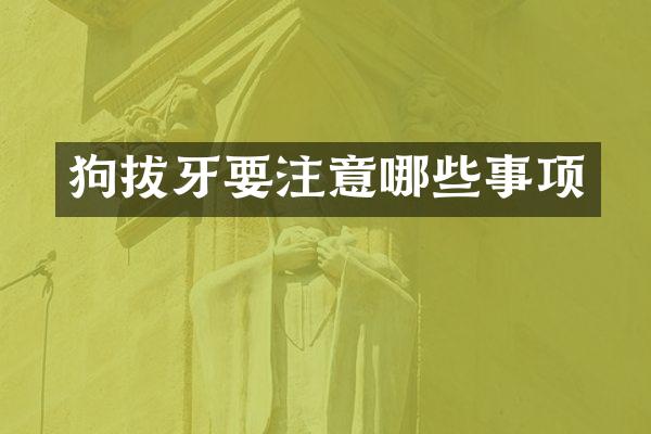 狗拔牙要注意哪些事项
