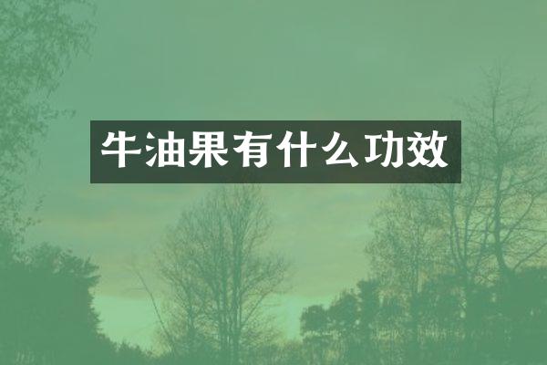 牛油果有什么功效