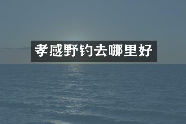 孝感野钓去哪里好