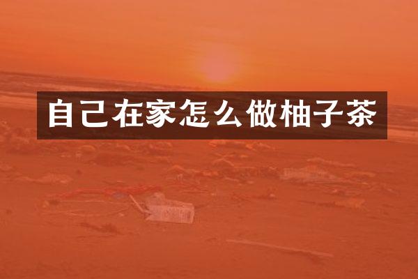 自己在家怎么做柚子茶