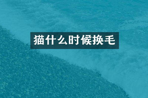 猫什么时候换毛
