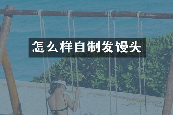 怎么样自制发馒头