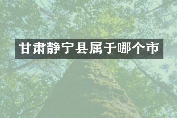 甘肃静宁县属于哪个市