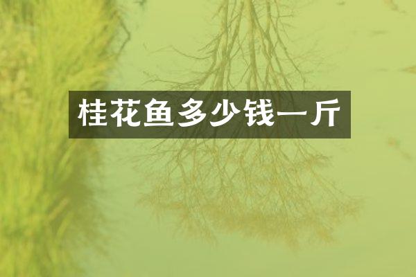 桂花鱼多少钱一斤