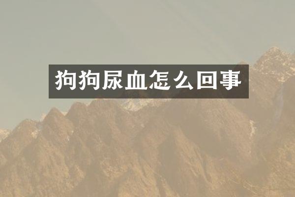 狗狗尿血怎么回事
