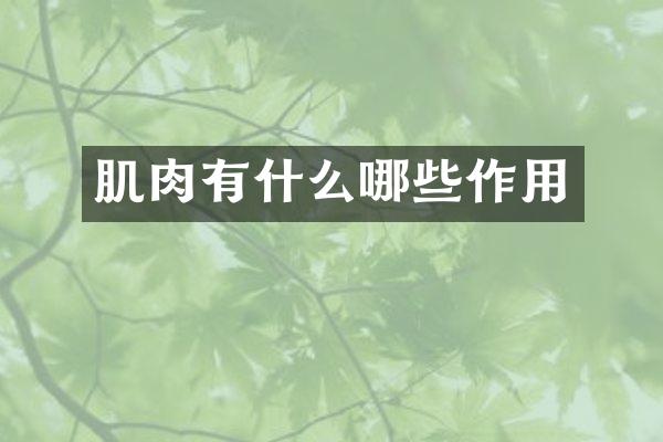 肌肉有什么哪些作用