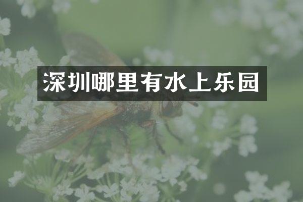深圳哪里有水上乐园