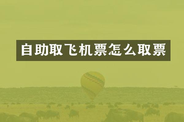 自助取飞机票怎么取票
