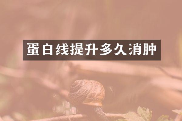 蛋白线提升多久消肿