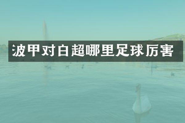 波甲对白超哪里足球厉害