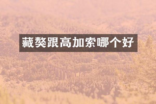 藏獒跟高加索哪个好