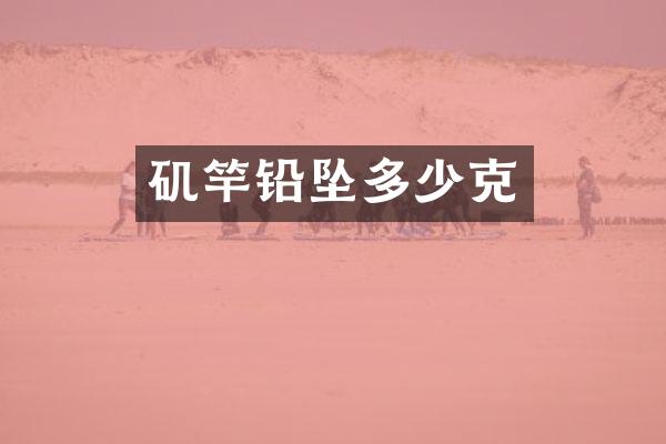 矶竿铅坠多少克