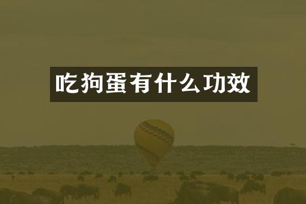 吃狗蛋有什么功效