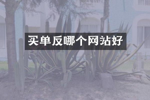 买单反哪个网站好