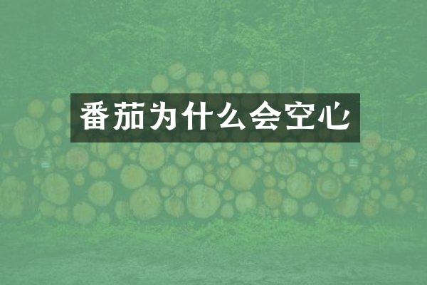番茄为什么会空心