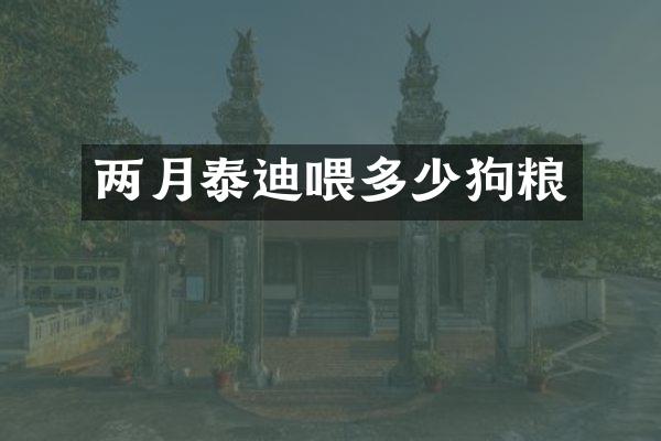 两月泰迪喂多少狗粮