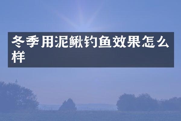 冬季用泥鳅钓鱼效果怎么样