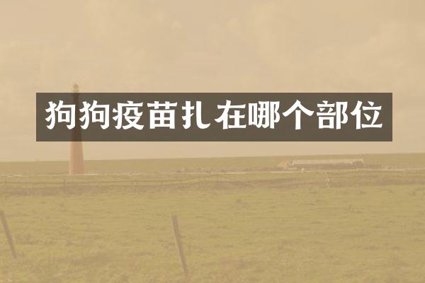 狗狗疫苗扎在哪个部位
