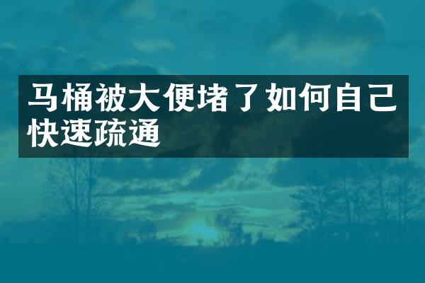 马桶被大便堵了如何自己快速疏通