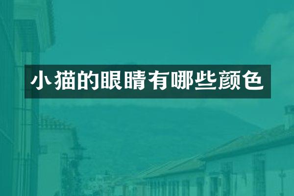 小猫的眼睛有哪些颜色