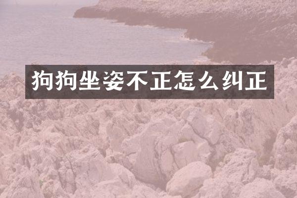 狗狗坐姿不正怎么纠正