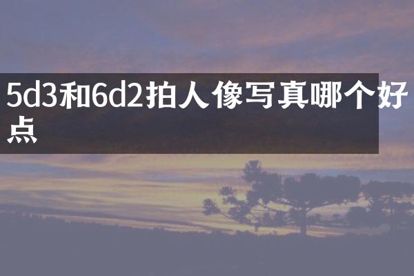 5d3和6d2拍人像写真哪个好点