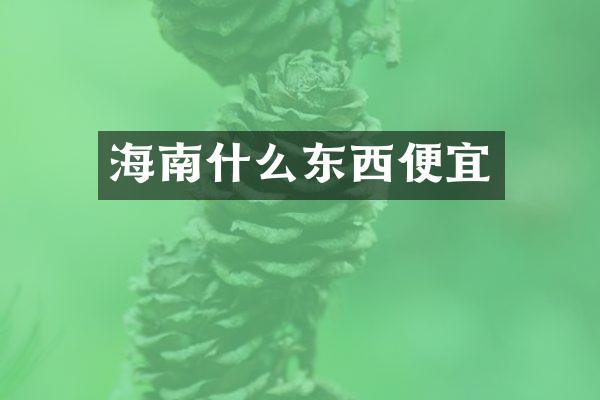 海南什么东西便宜