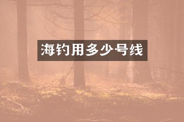海钓用多少号线