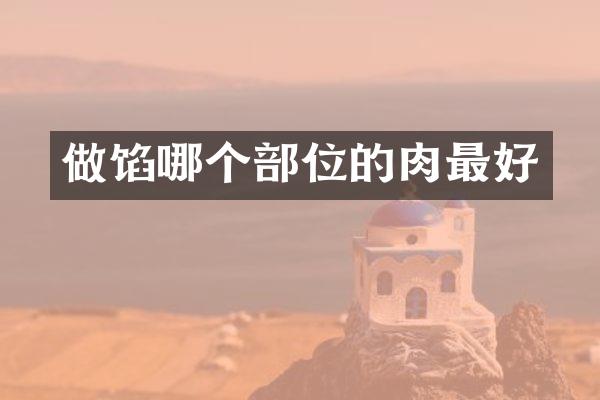 做馅哪个部位的肉最好