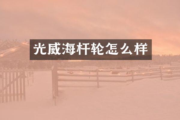 光威海杆轮怎么样