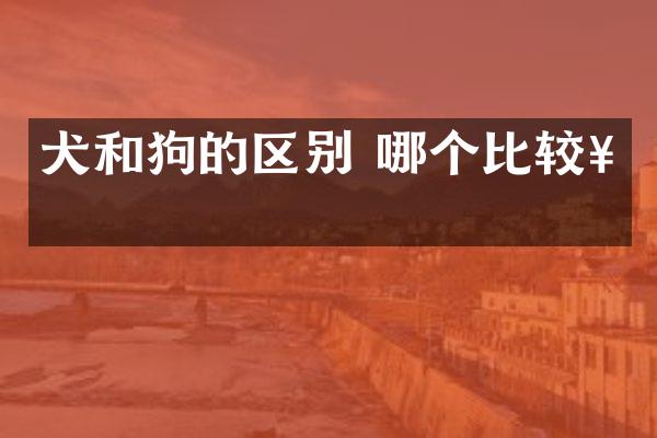 犬和狗的区别 哪个比较好