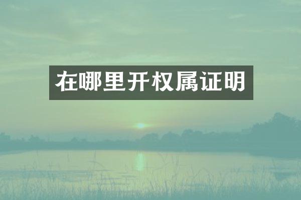 在哪里开权属证明