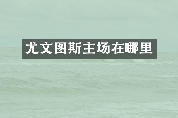 尤文图斯主场在哪里