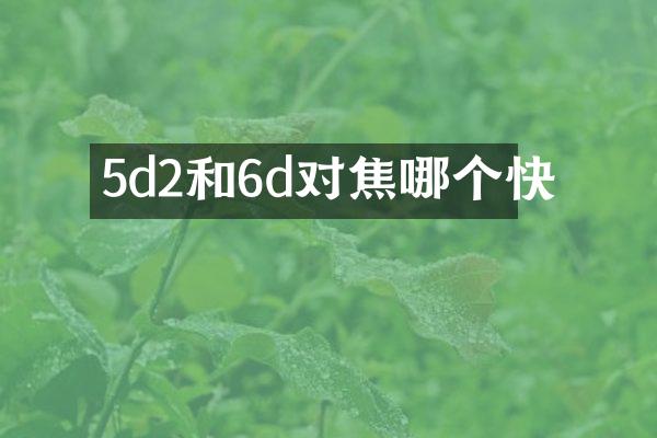5d2和6d对焦哪个快