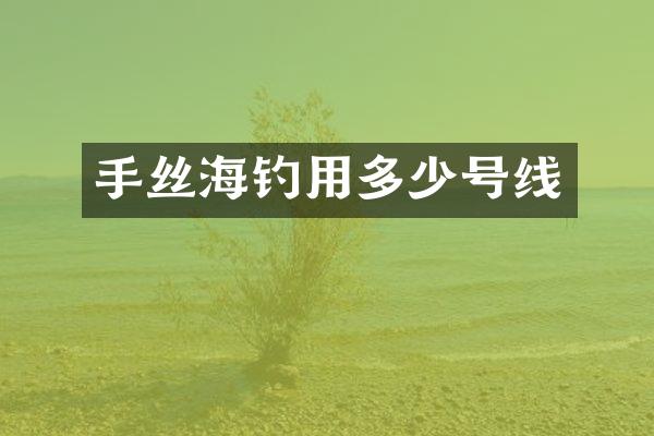 手丝海钓用多少号线